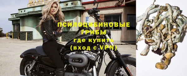 стафф Алексеевка