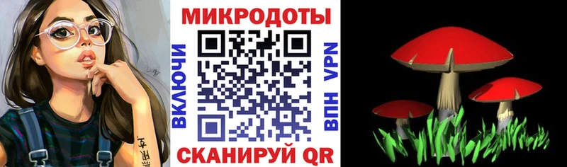 маркетплейс состав Бахчисарай Псилоцибиновые грибы Psilocybe купить наркотики цена